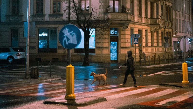 A man walking a dog on a street at night while snow is falling.