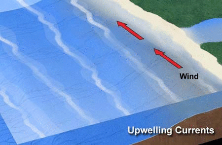 Upwelling (Source: Wikimedia Commons)