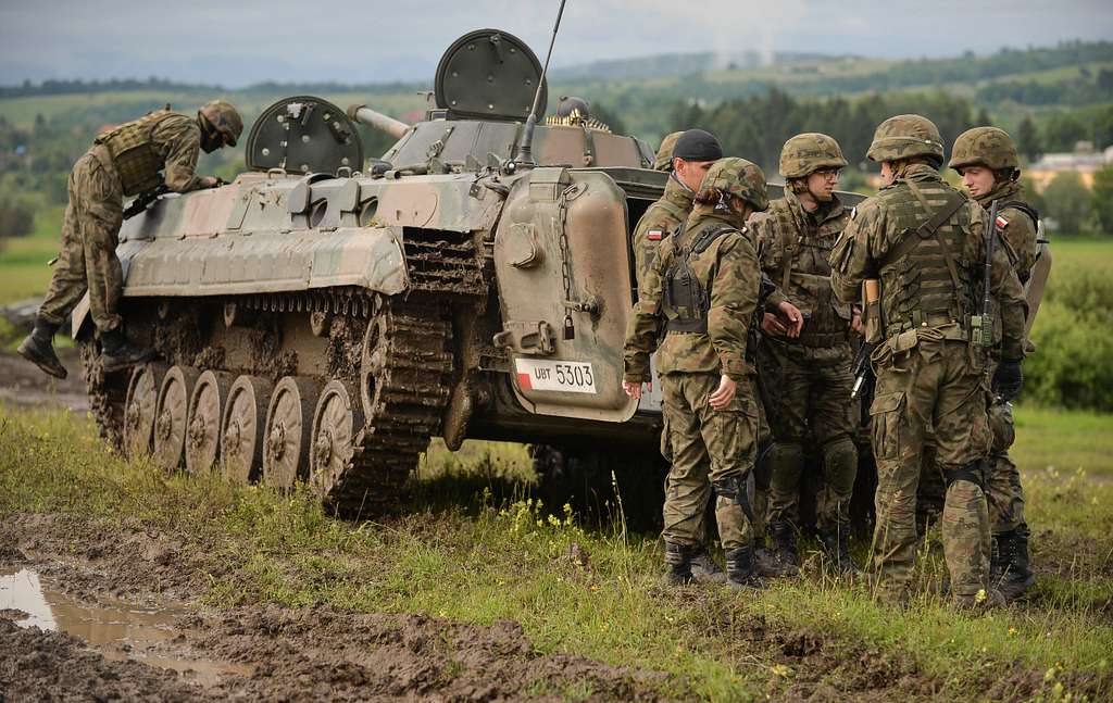 Image: NATO troops from Poland and Romania Mechanized units practise joint operations training which involved patrol and advance to target exercises on Exercise Noble Jump 17, in Cincu Romania. (Source: NATO Photo / WO2 Dan Harmer GBR Army / Released)