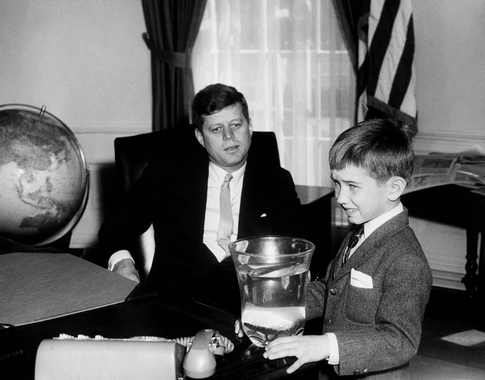 President John F. Kennedy visits with his nephew, Robert F. Kennedy, Jr.; RFK, Jr., presented his uncle with a salamander, "Shadrach." Oval Office, White House, Washington, D.C. (Photo: Abbie Rowe)