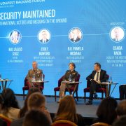 Security Maintained: International Actors and Missions on the Ground