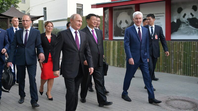 Chinese leader Xi Jinping presented two pandas to Moscow Zoo at a ceremony with Vladimir Putin on June 5, 2019 (Photo: Kremlin.ru / Wikimedia Commons)