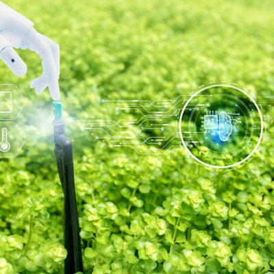 ai robot climate