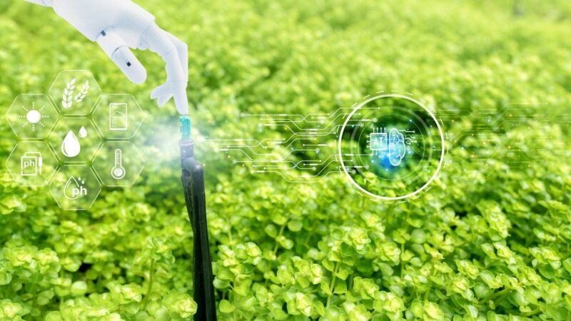 ai robot climate